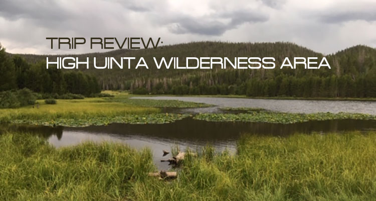 Trip Review: High Uinta Wilderness Area